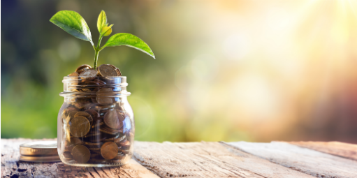 Glossário do empreendedor: O que é investimento de risco
